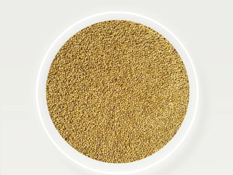 2a27659c-6fb3-4178-9aa9-9a2051ca9465-jpg